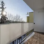 Appartement Comfortable Two-bedroom Strzelcow By Renters *